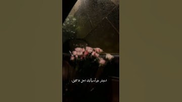 قرآن||عبدالرحمن مسعد ||القرآن كريم||اكتب شي تؤجر عليه🤍🫂