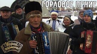 Алтайское горловое пение | Амыр Акчин (Республика Алтай) | Играй, гармонь!