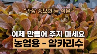 (517).알카리수를 아시나요 #에너지농법 #탄소농업 #유기농업 #환경농업 #자연농업