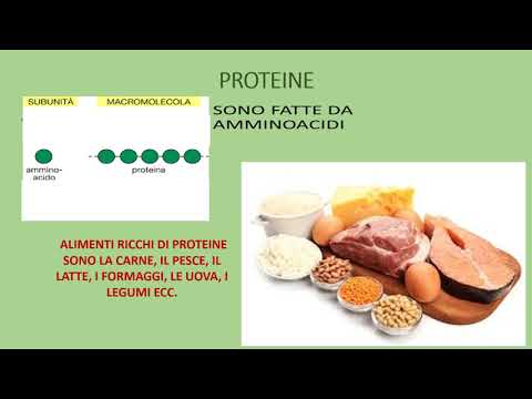 Alimenti e nutrienti. Per la scuola media.