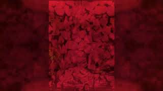 Choronzon - Swallowed by Madness