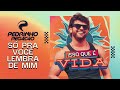 Só Pra Você Lembrar de Mim – Pedrinho Pegação (Promocional Isso Que é Vida) [Verão 2026]