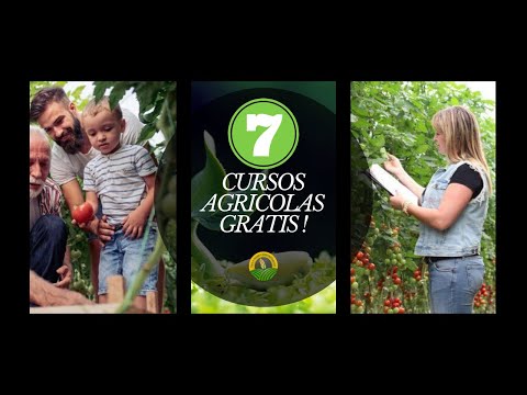 Vídeo: Agrotècnia De L'agricultura Natural - APZ