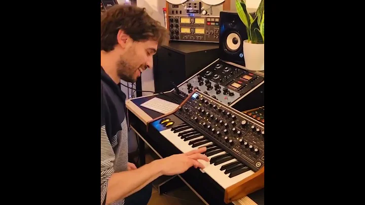 Disco Moog Solo 🎹 Marcello Cassanelli Live Performance