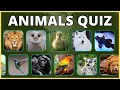 Test Your Knowledge: Weird Animals Quiz - Take the 20 Question Quiz Now! | BrainLift