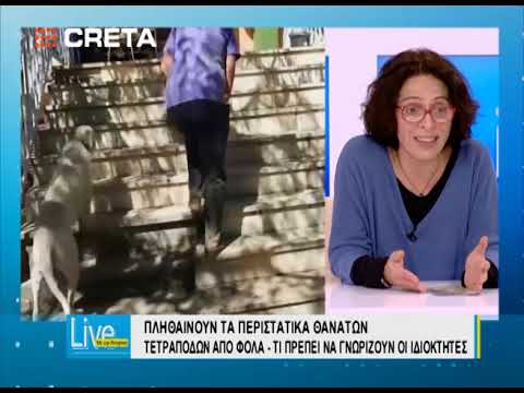 Βίντεο: Τι είναι οι τετράποδες ασκήσεις;