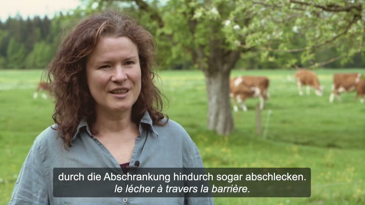 Milchgenuss mit Respekt - Boire du lait respectueux