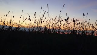 Für Dich Da Sein - Song Von Manuel Lauterbach - Neuaufnahme