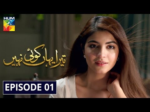 Tera Yahan Koi Nahin Episode 1 HUM TV Drama 30 December 2019