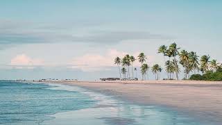 Soothing Streams | Harmony | Tranquility | Calm | Nature | Serene Folk