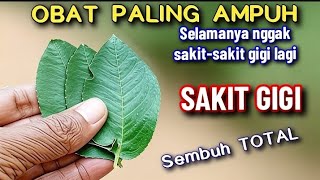 OBAT PALING AMPUH‼️ SAKIT GIGI Langsung SEMBUH TOTAL, Selamanya nggak kambuh lagi 