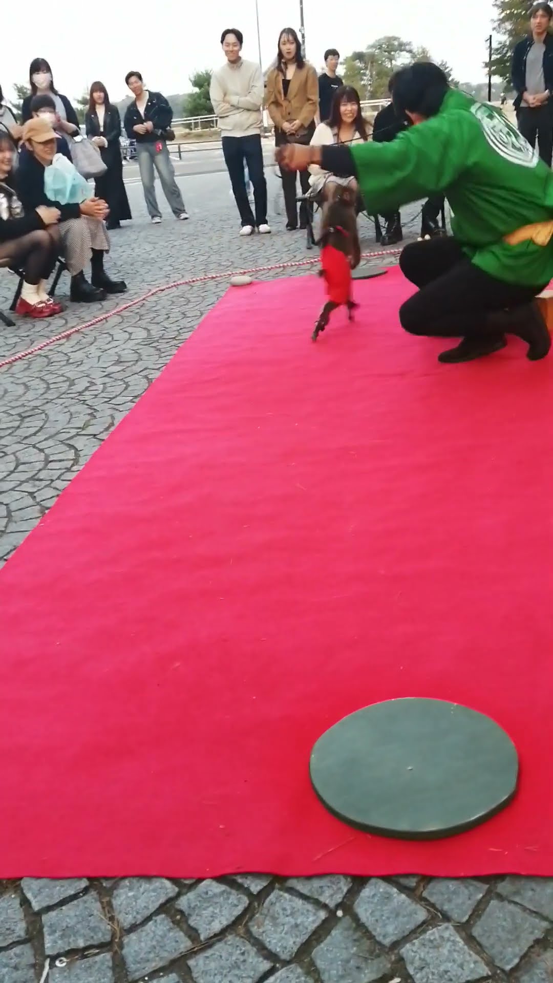 田中かえ Kae Tanaka | @needles_tokyo_official ジャガード織
