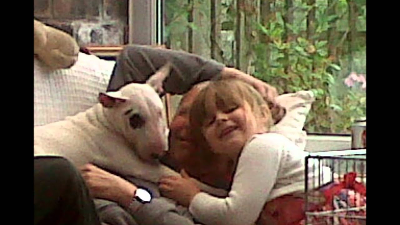 Help Find Ruby Video - YouTube