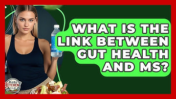 What Is The Link Between Gut Health And MS? - Keto Kitchen HQ