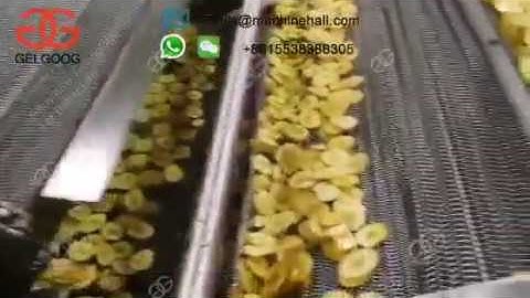 300 kg/h Continuous Banana Chips Frying Machine In Banana Chips Processing Line
