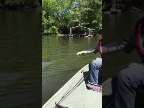 Bass didn't want to give up