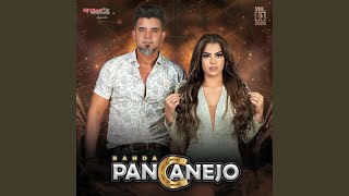 Download Lagu Ç É Perfeita MP3