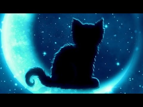 Видео: 🌑~•° Лунный кот °•~🌑
