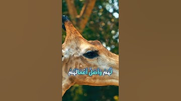 سورة محمد و؛،كا؛.نك تسمعها لأ،؛و.؛ل مر.ة💟؛،💝؛❤️🌻،،💘🌼💞بصوت الشيخ حمزة مد،بو.ح 🌹🌻.،🌸💐،.💛،،🌺💓