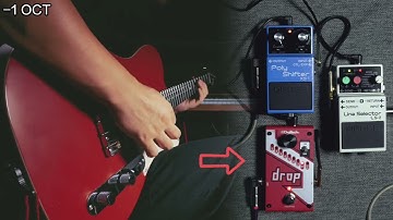 BOSS XS-1 VS Digitech Drop
