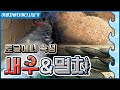 우리 없었으면 요리 어쩔 뻔? 밥상 최우수 조연상 새우&amp; 멸치. #멸치볶음 멸피조림 멸치튀김 새우 요리 멸치 요리