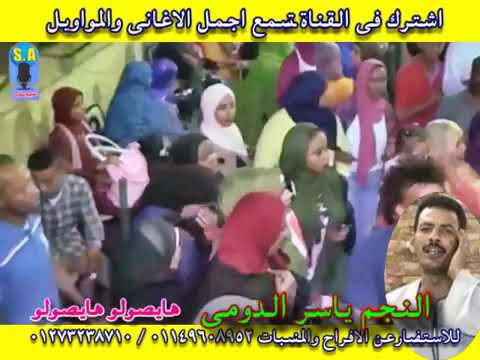 نجم الصعيد ياسر الدومى هايصولو هايصولو