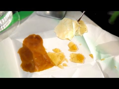 LA Medical Cannabis Cup 2014: Sunday Highlights