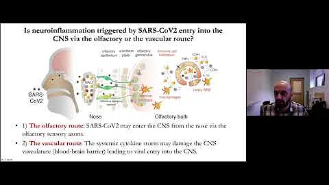 Dritan Agalliu; Kiran T. Thakur & Peter D. Canoll, Virtual COVID-19 Symposium: January 20, 2021