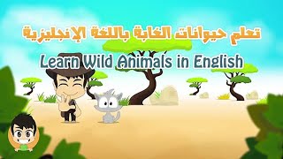حيوانات بالانجليزي  تعليم الأطفال اسماء الحيوانات باللغة الانجليزية - wild animals in english
