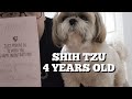 Shih tzu daily life Birthday celebration