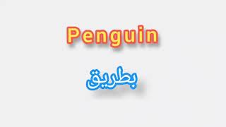 '' Penguin ..  ترجمة كلمة انجليزية الى العربية - '' بطريق