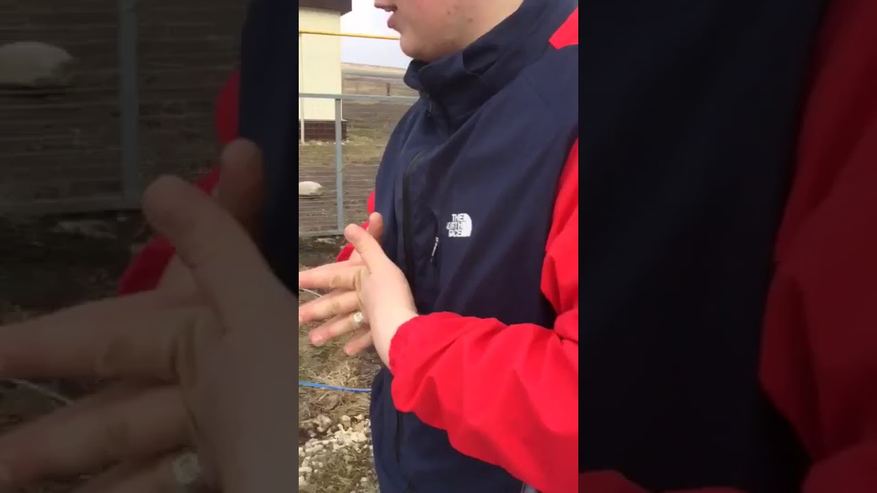 Сузуки кто делает