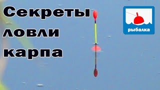 Секреты ловли карпа (ТЕОРИЯ)+ отчёт о рыбалке Секреты ловли карпа (ТЕОРИЯ)+ отчёт о рыбалке