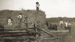 Life On A Midwestern Farm 1890  1910