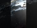Приехал из соседнего двора и поставил авто на газон  #pricolis #газон #трава #авто