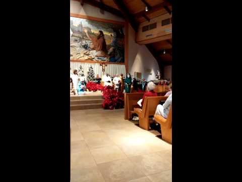 Steele Christmas Shepherd