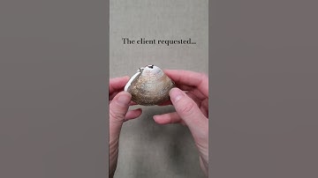 A Special Shell Book // Handmade books by Stoneburner Books #bookbinding #tinybook #bookartist