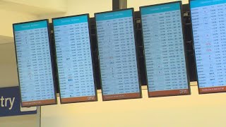 Summer Vacation Twitter is not happy as flight cancellations top 800 Thursday