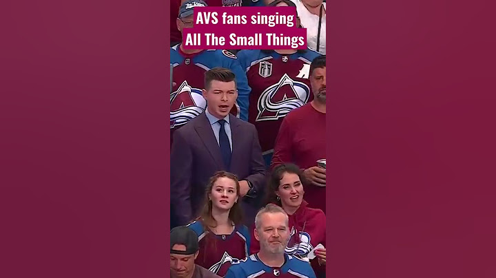 Avalanche Fans Rocking Out To Blink-182 At The Stanley Cup Final 🔥 🔥