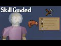 Following the skill guide is a recipe for disaster  skill guided 13