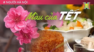 Màu của Tết | Tết Giáp Thìn 2024