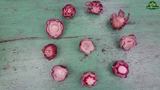 How to carve flower red radish (11)