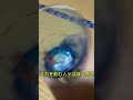 カミキリを捕まえて酒を注ぐ