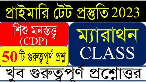 Child Education and Child Psychology (CDP)|50🔥Important Questions||Marathon Class 4|WB Primary Te...