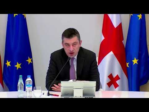 მთავრობა საკმაოდ ეფექტურად უმკლავდება გლობალურ გამოწვევას - პრემიერი კორონავირუსზე