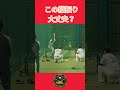このスイング大丈夫か？#shorts #縦振り#横振り #バッティング #アッパースイング