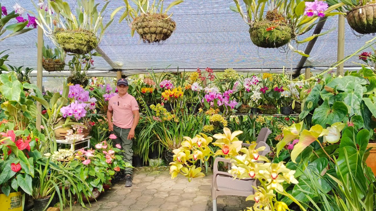 El jardín más grande que he visitado /Acompañame a recorrerlo  2 parte de una floración increíble.