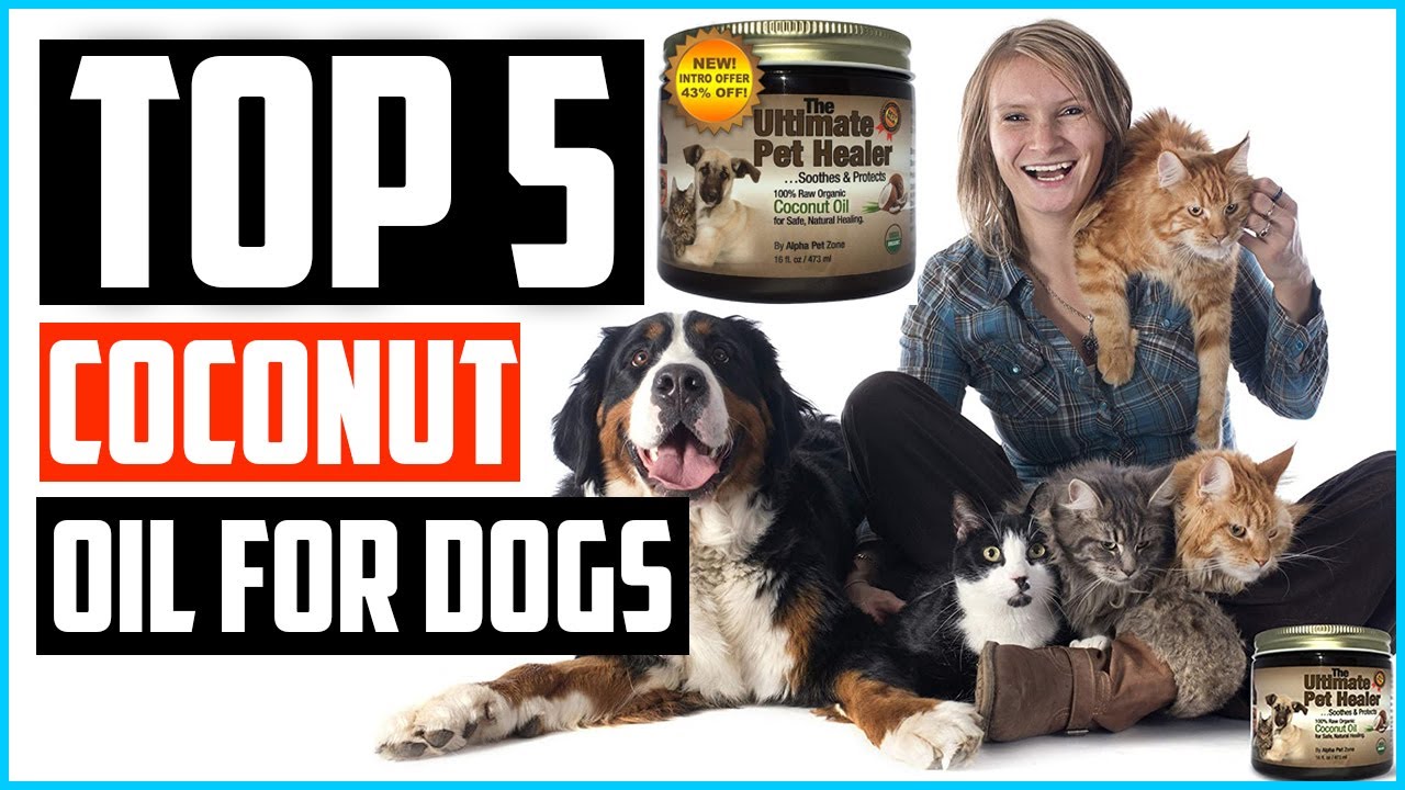 What Coconut Oil Is Good For Dogs