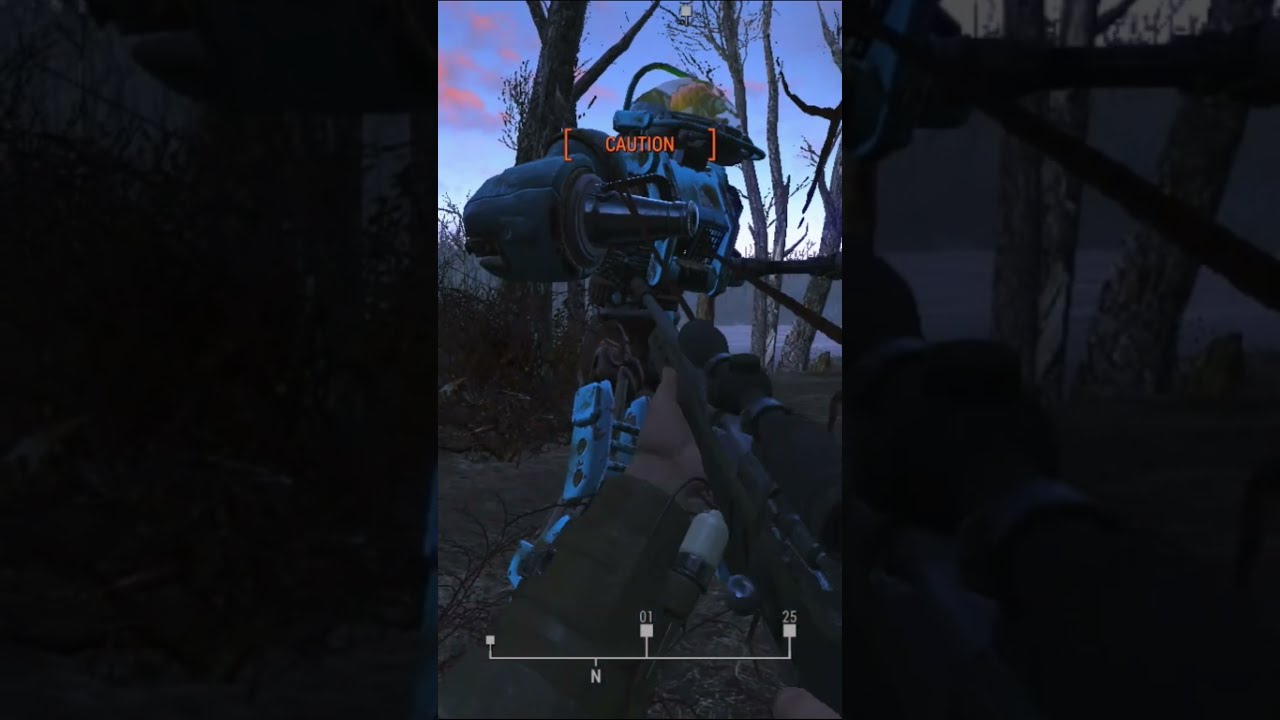 Do I Look Like Okay How Bout Stop Blocking Me With Dat A Shorts Fallout4