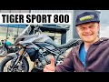 Triumph Tiger Sport 800: Your Top Questions ANSWERED!